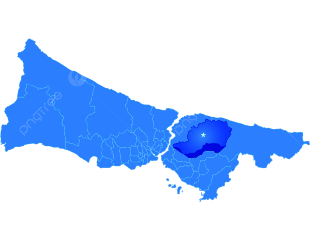 Polinom Kurs Çekmeköy